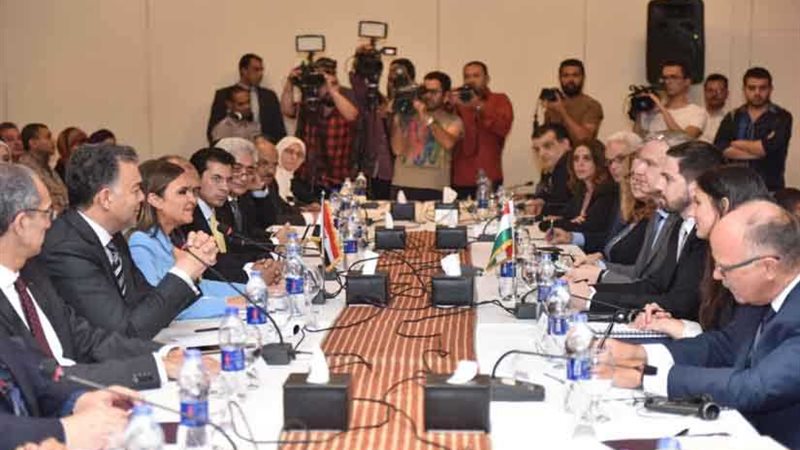 اللجنة المصرية المجرية: