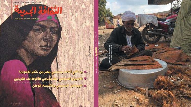 المواطنة في العدد