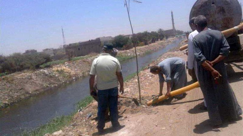 تشجير مداخل القرى