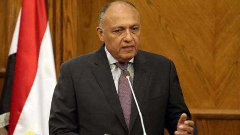 شكري: اتفقت مع وزير