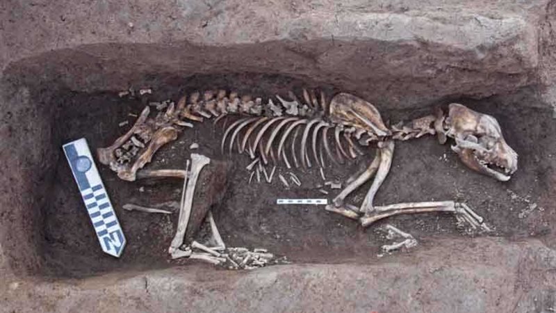 العثور على دفنات