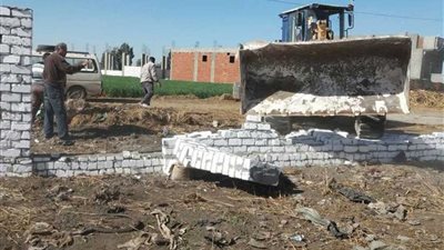 إزالة 169 تعديًا على الأراضي الزراعية بالمنيا