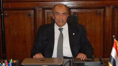 وزير الزراعة يؤكد انخفاض أسعار الأرز اعتبارًا من سبتمبر المقبل