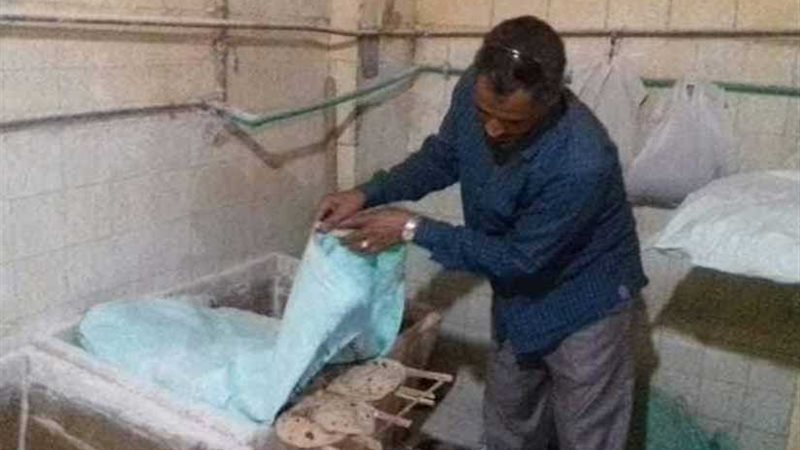 15 محضرًا للمخابز