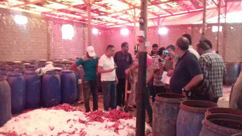 ضبط 194طن أغذية فاسدة