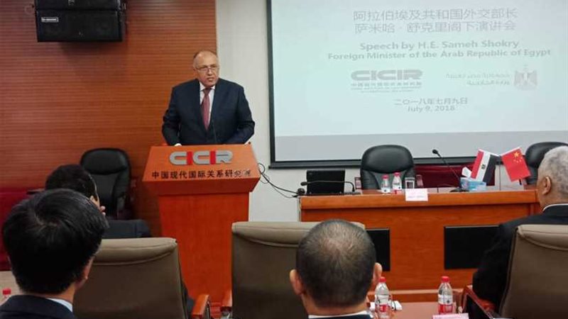 شكري يلقي كلمة في