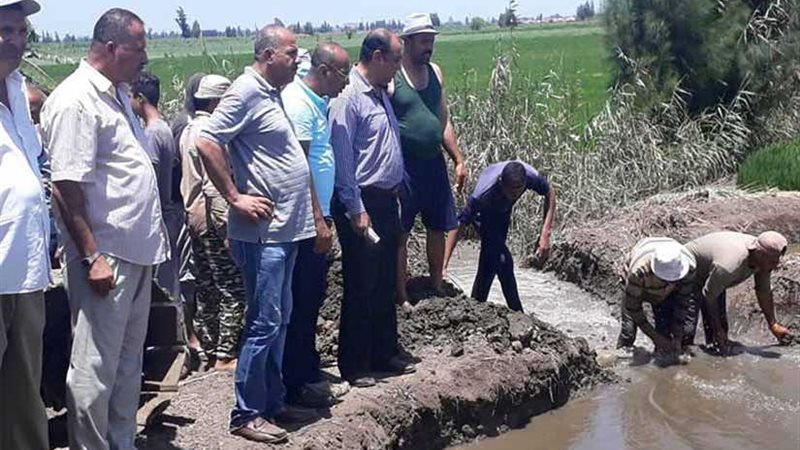 بعد اكتشاف استخدامها