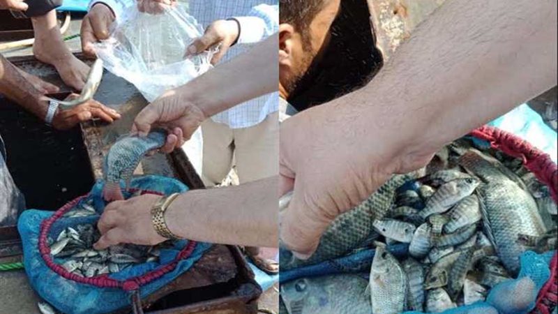 إنزال 100 ألف إصبعية