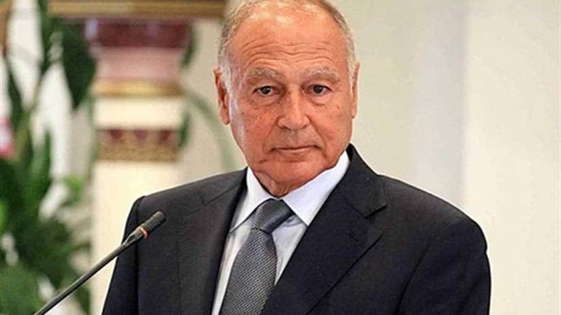 أبوالغيط يحاضر في