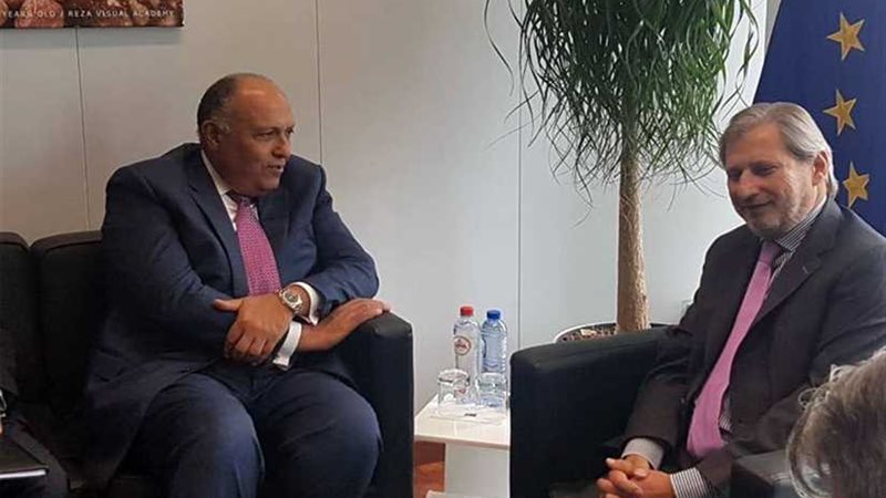 وزير الخارجية يلتقي