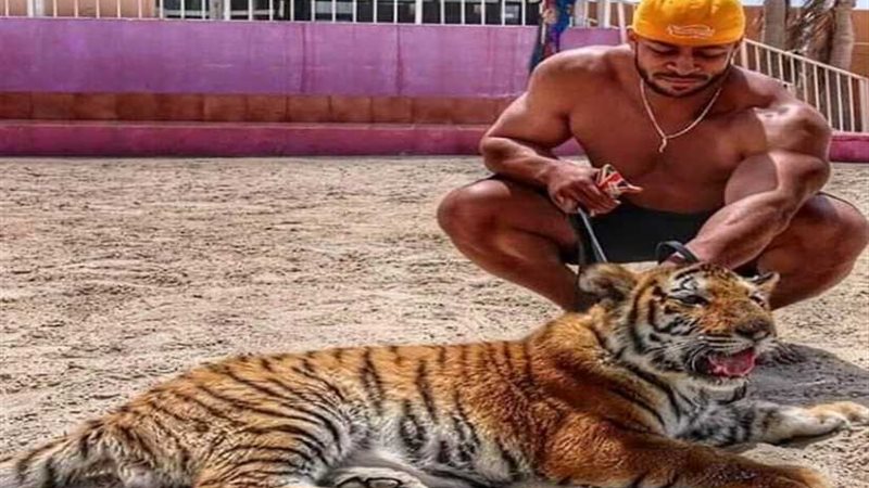 قاتل بطل كمال الأجسام