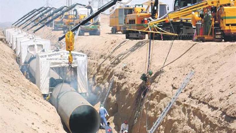 غضب الثعبانية  بسبب