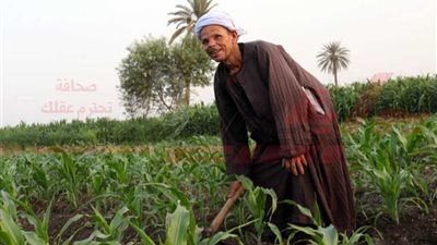 الأرض المقدسة