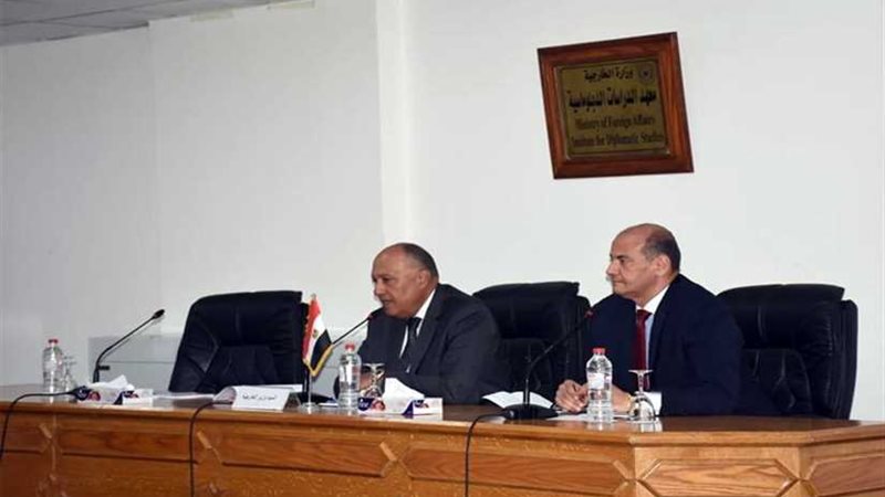 وزير الخارجية يلتقي