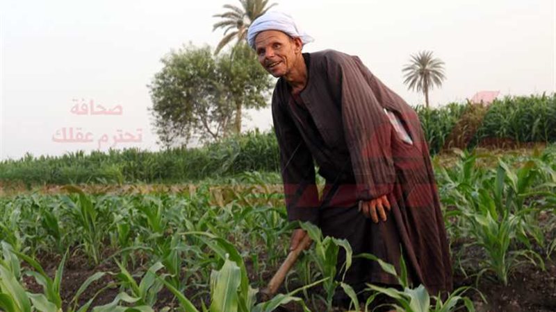 الأرض المقدسة