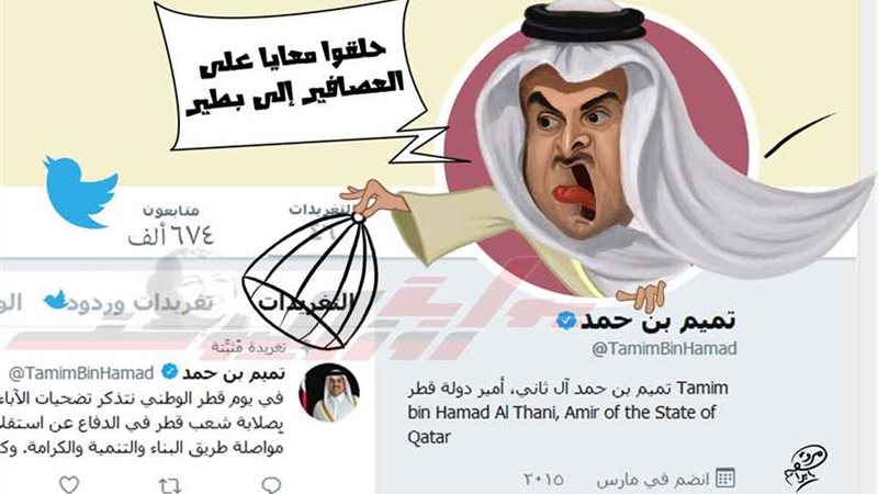 بص العصافير