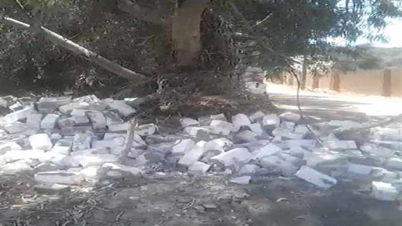 الجيزة تستعيد 10