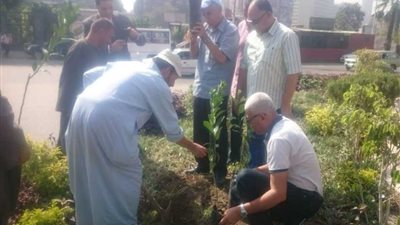 حملة لزراعة 1000 شجرة مثمرة بحي شمال الجيزة