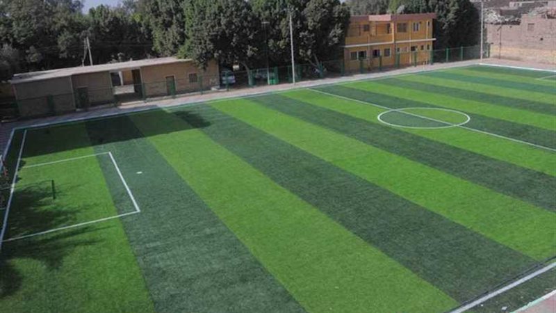 النجيل الصناعى يدخل