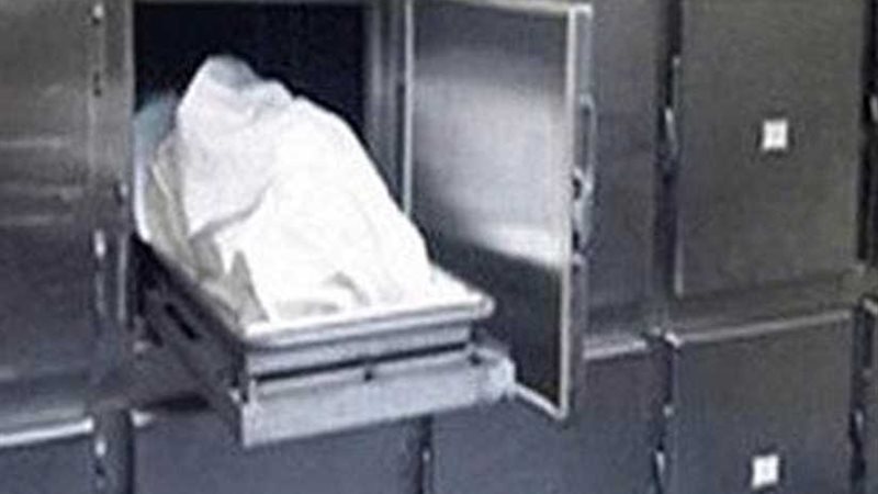 مصرع عروس جراء انقلاب