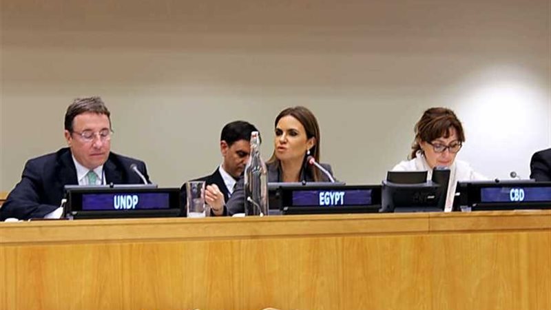 الأمم المتحدة تشيد