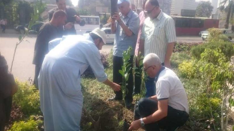 حملة لزراعة 1000