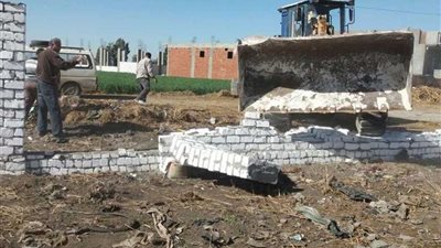 إزالة 14 حالة تعد ضمن الموجة العاشرة بملوي بالمنيا