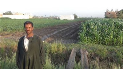 أبناء المنيا: ثورة يوليو أنصفتنا