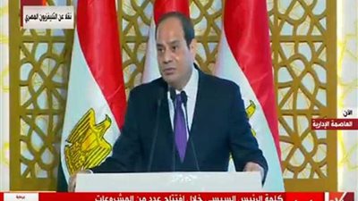 السيسي للمطالبين بعزل وزير الكهرباء: ده كلام لا يليق بالرجال (فيديو)