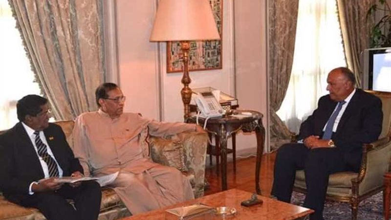 وزير الخارجية يبحث