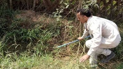 المنوفية تلجأ لـ