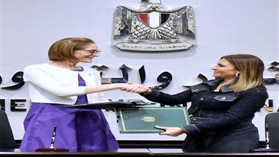 العلاقات الاقتصادية المصرية- الأمريكية 