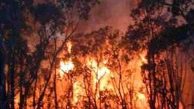 اتساع حرائق غابات كاليفورنيا يجبر السكان على الهروب ويعرض آلاف المنازل للخطر