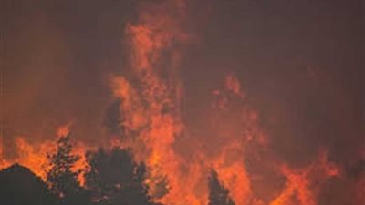 رئيس الوزراء اليوناني: أتحمل المسئولية كاملة عن حرائق الغابات