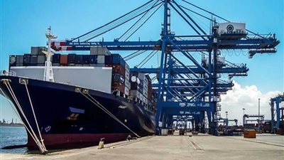 تداول 25 سفينة حاويات وبضائع عامة بموانئ بورسعيد