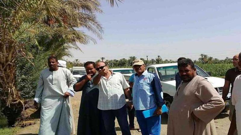 لجنة تعاين عددًا