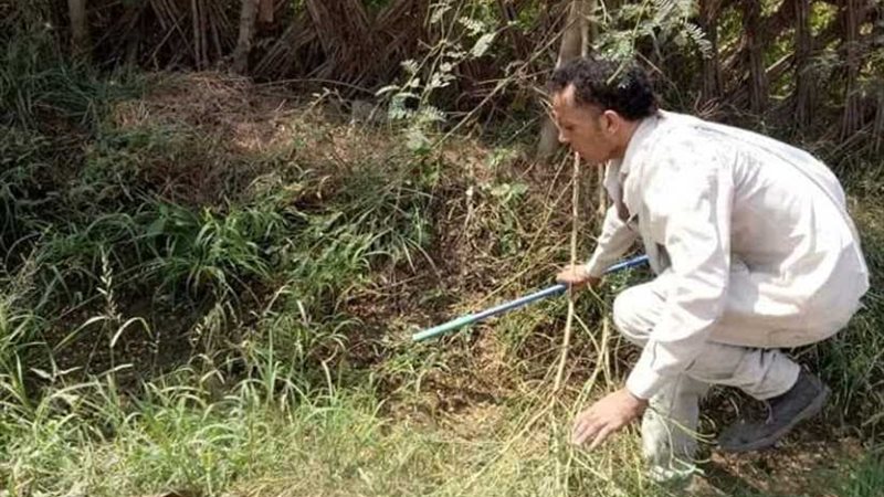 المنوفية تلجأ لـالحواة