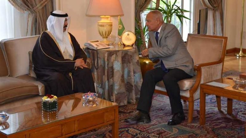 أبوالغيط يستقبل وزير