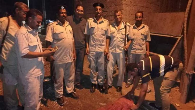 السلعوة تعقر ١٧ شخصًا