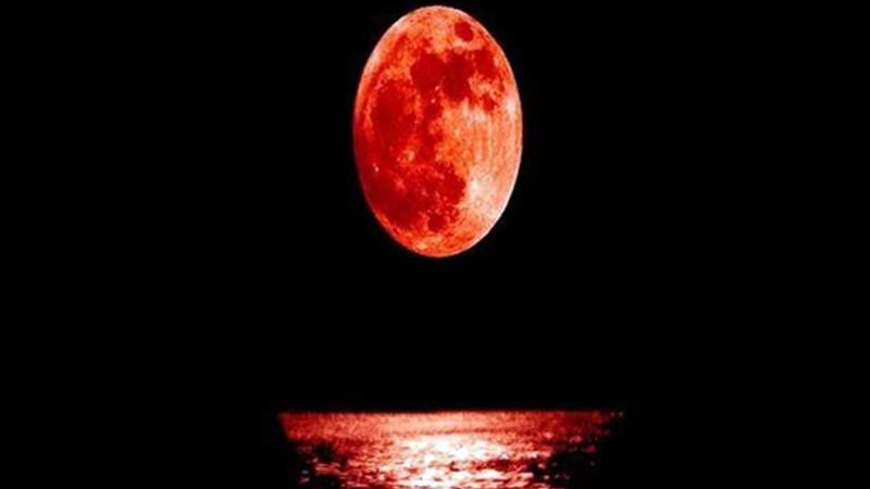 آلاف المواطنين يؤدون