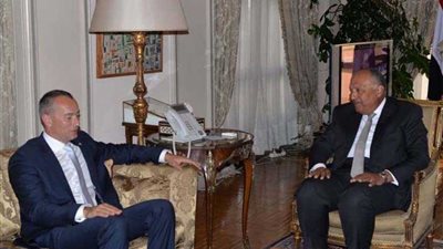 شكري يستقبل المبعوث الأممي للسلام في الشرق الأوسط