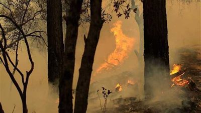 اندلاع 39 حريقا في أنحاء الولايات المتحدة وكاليفورنيا الأسوأ