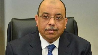 وزير التنمية المحلية: الشباب ثروة قومية لابد من استغلالها