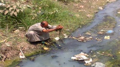 مياه الصرف تدمر أراضي الدقهلية وتهدد حياة الفلاحين