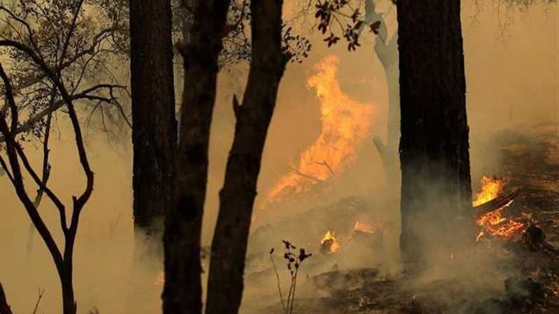 اندلاع 39 حريقا في