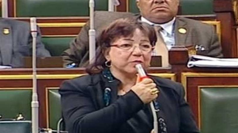 نائبة: مؤتمر الشباب