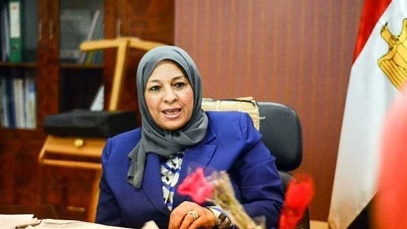 نائب محافظ القاهرة