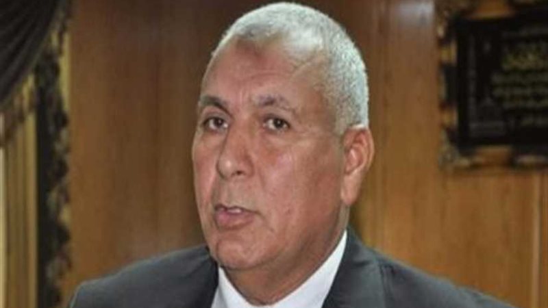 محافظ الوادي الجديد