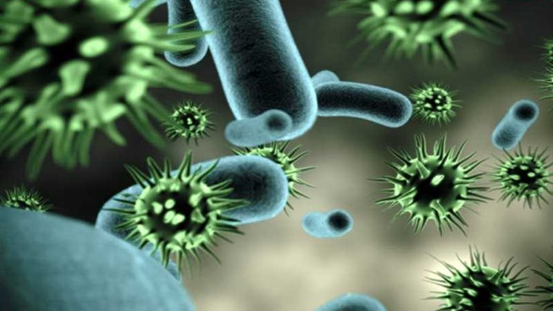 العالم في خطر ..إنفلونزا