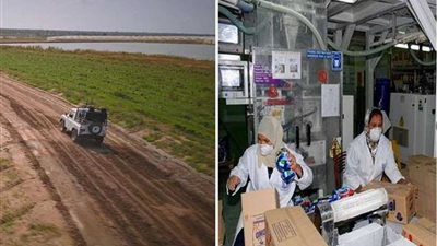 تنويع الاستثمارات .. وزيادة النمو الاقتصادي